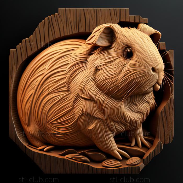 st Guinea pig